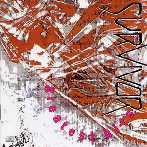 亚洲做爱高潮视频
